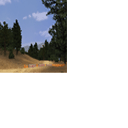 CMR04_ps2_demo_icons_usa_s1.png
