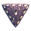Sponge Sponge