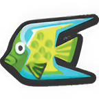 (Queen) Angelfish (Queen) Angelfish