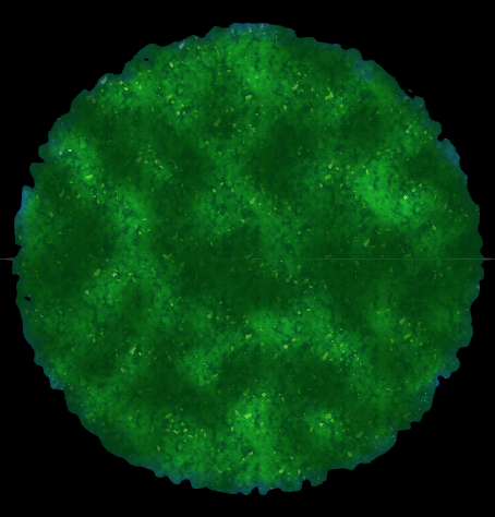 AHatIntime_PuzzleArea_Ground_Circle_BlueEdges(Material).png AHatIntime_PuzzleArea_Ground_Circle_BlueEdges(Material).png