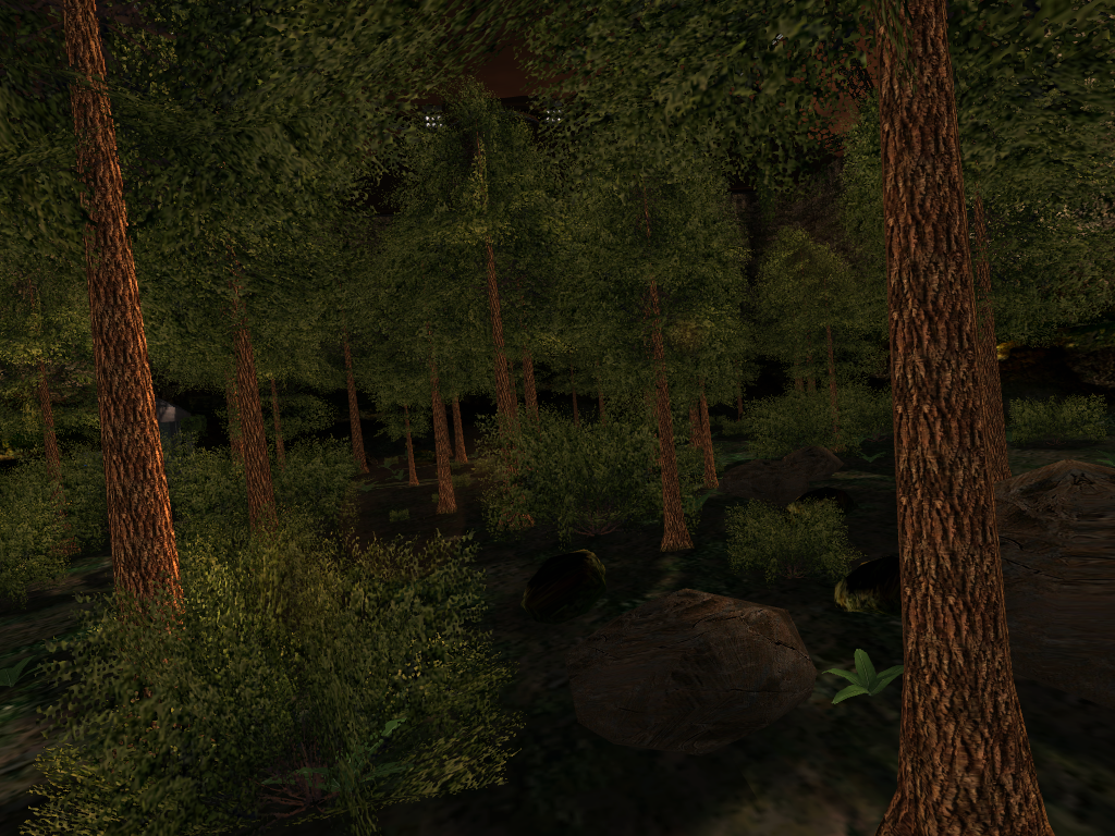 More of the forest. More of the forest.