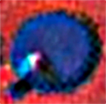 OOT_Pre-Release_Broken_Sword_Icon.jpg