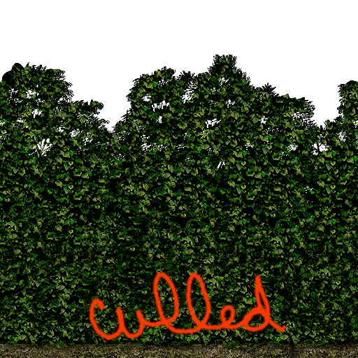 MOHAA_-_m3l3hedgerow_culled.png MOHAA_-_m3l3hedgerow_culled.png