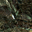 hl2proto_cave002_00_04_00.png