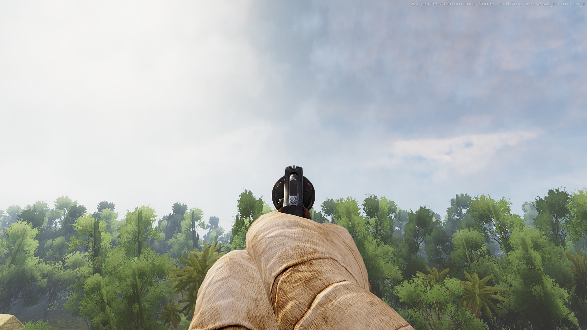 Aiming down the sights. Aiming down the sights.