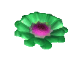 A green flower icon from the TIR minigame.