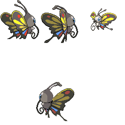 pmpl_267_back_f_r9077.png pmpl_267_back_f_r9077.png