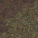 DungeonSiege-b_t_for02_pth_04x04-c.png