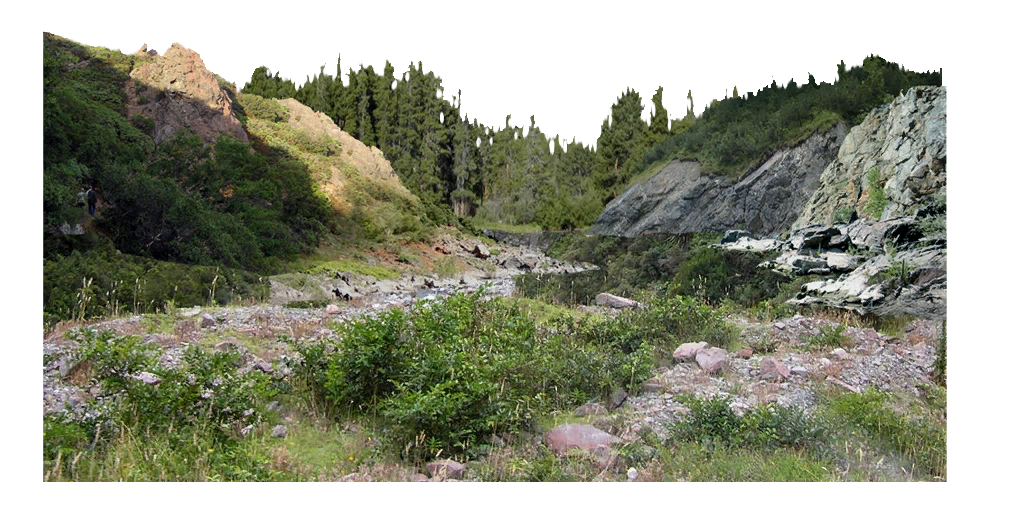 HL2EP2-nature-midground_element_3.png