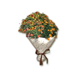 SU_Collectibles_Apotos_Flower.png