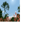 CMR04_ps2_final_icons_aus_s6.png