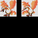PKMNGS_COL_G_PFM2_146.png