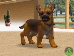 NintendogsMarch14-2005Screenshot26.jpg NintendogsMarch14-2005Screenshot26.jpg