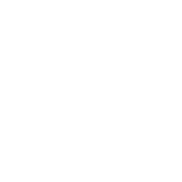 decoration_bubble_pattern decoration_bubble_pattern