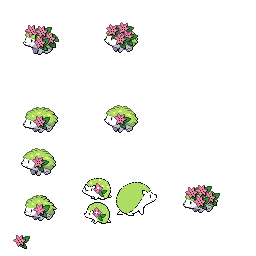 pmpl_516_frnt_flower_r2040.png pmpl_516_frnt_flower_r2040.png