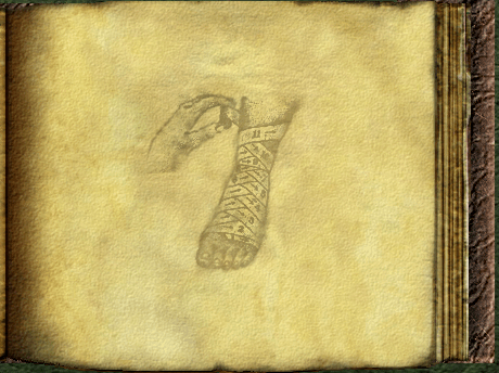 mam7_Book-06.png mam7_Book-06.png