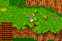 Grunty's_Revenge_Early_Proto_crasharea1.PNG