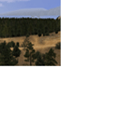CMR04_ps2_demo_icons_usa_s4.png
