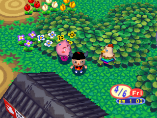 Animalforest_fieldtest2start.png