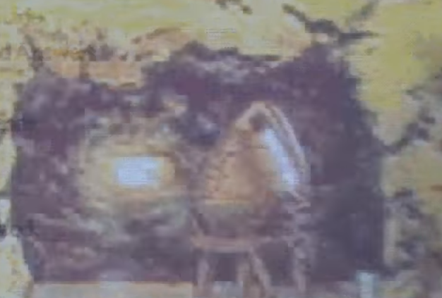 creatures1_pre_hoochearly.png