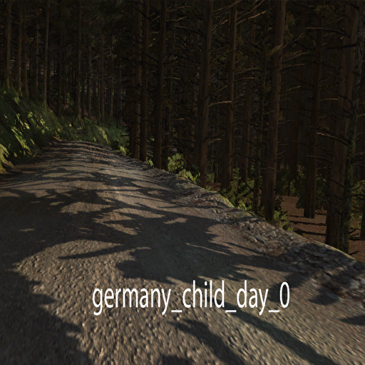 DiRTRally-germany_child_day_0.png