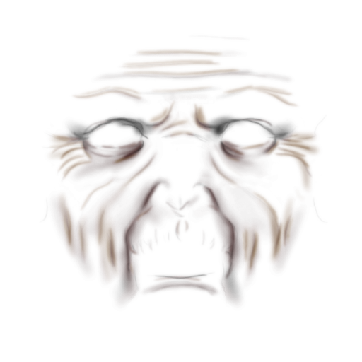 TS2_uuface-aging30_lifo_512x512.png