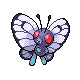 312PokeDPFrontF12-0.png 312PokeDPFrontF12-0.png