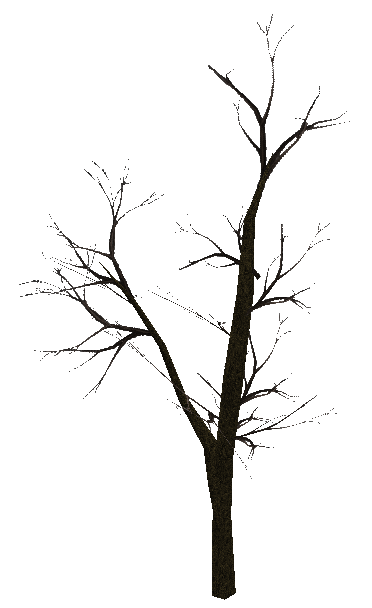 tree_noleavesv2.mdl tree_noleavesv2.mdl