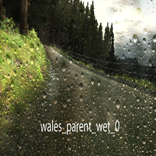 DiRTRally-wales_parent_wet_0.png