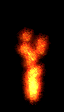 MP4_saf_fire.gif