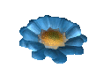 A blue flower icon from the TIR minigame.