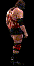 wwfwrestarc-A2CT2B.gif