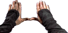 swjan95_2008.png swjan95_2008.png