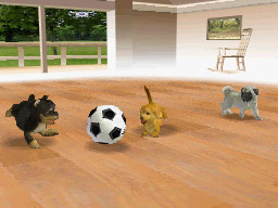 Ds_Nintendogs_ss_06.jpg Ds_Nintendogs_ss_06.jpg