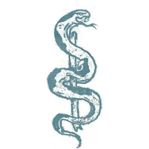 Image of a snake Image of a snake