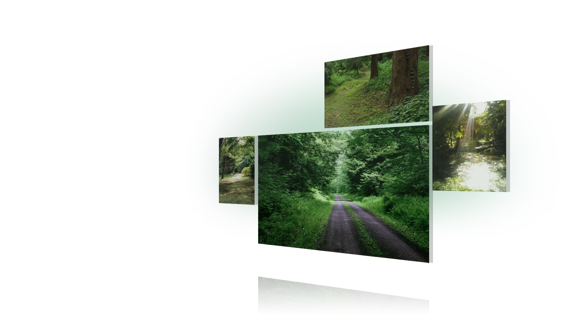 Introduction image.