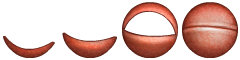 MSM_used_wubbox_eyelids.png