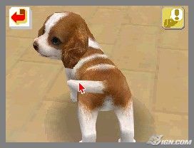 NintendogsFebruary2005Screenshot14.jpg NintendogsFebruary2005Screenshot14.jpg