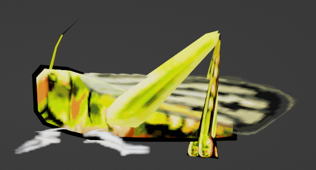 Locust