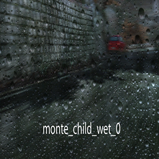 DiRTRally-monte_child_wet_0.png