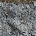 DungeonSiege-b_t_for01_secretstair-a.png