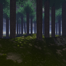 CStrike_forestft.png CStrike_forestft.png