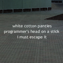 white cotton panties, programmer's head on a stick, i must escape it.
