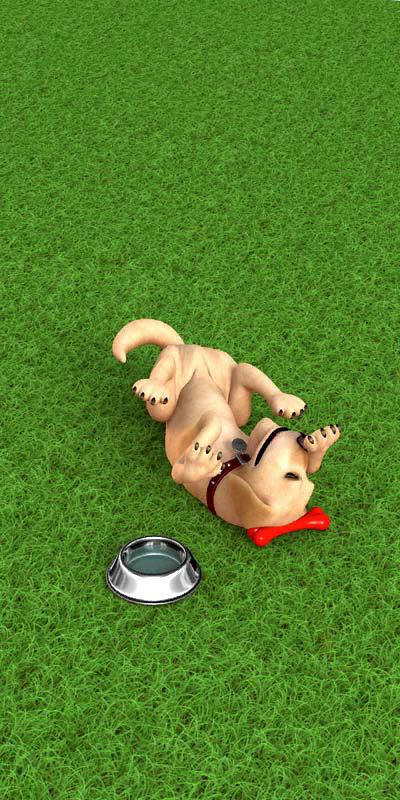 JohnDog-A21_01_-339.png_‎