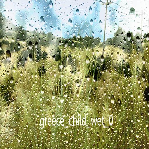 DiRTRally-greece_child_wet_0.png