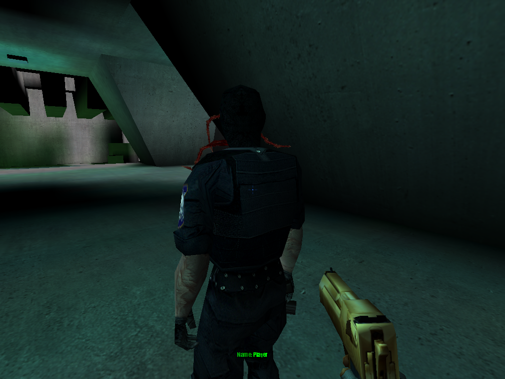 Dnf2001aug_playerid.png