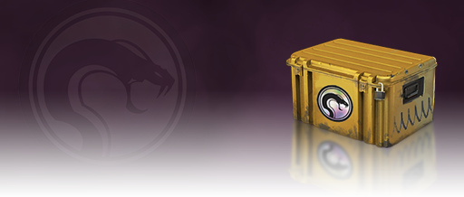 Recoil Case Recoil Case