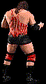 wwfwrestarc-A2ST2D.gif