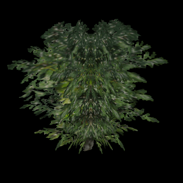 Unused (SC_Bushes3) Unused (SC_Bushes3)