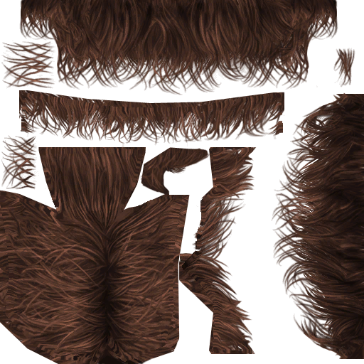 TS2BV_tmhairsurfer-brown0_lifo_512x512.png